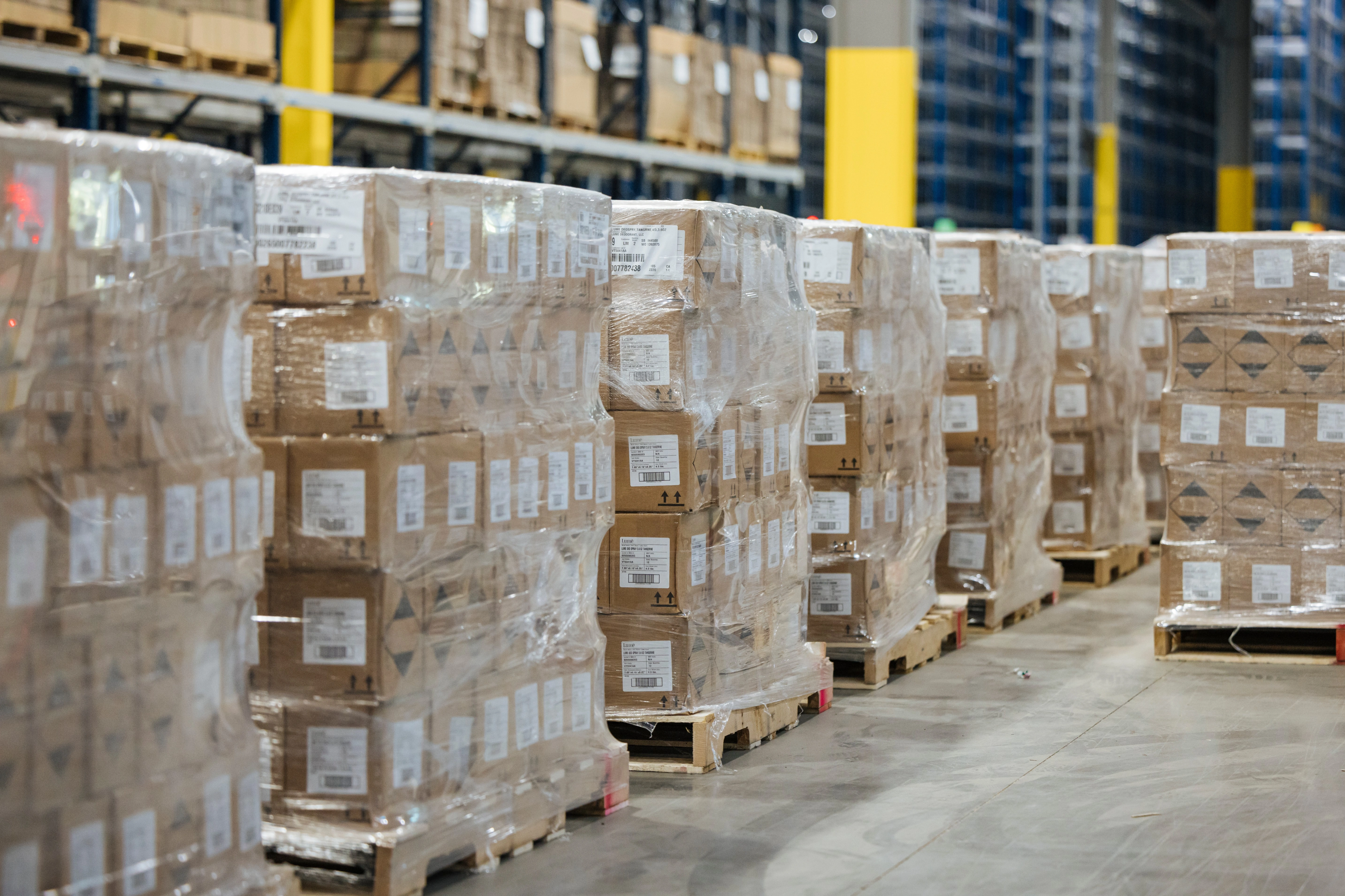 Data doesn’t just highlight problems—it also forecasts future needs