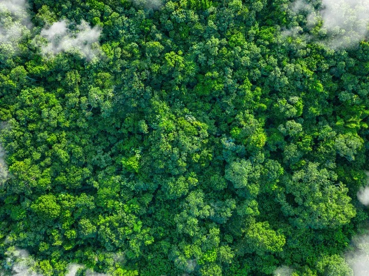 Sustainability